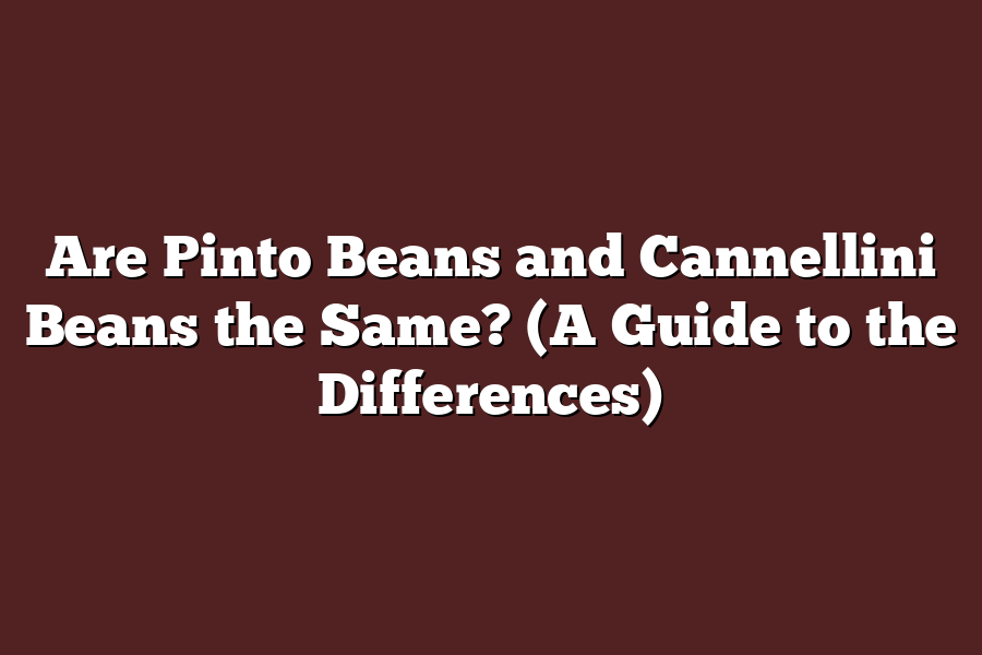 Are Pinto Beans and Cannellini Beans the Same? (A Guide to the Differences)