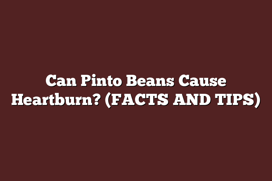 Can Pinto Beans Cause Heartburn? (FACTS AND TIPS)