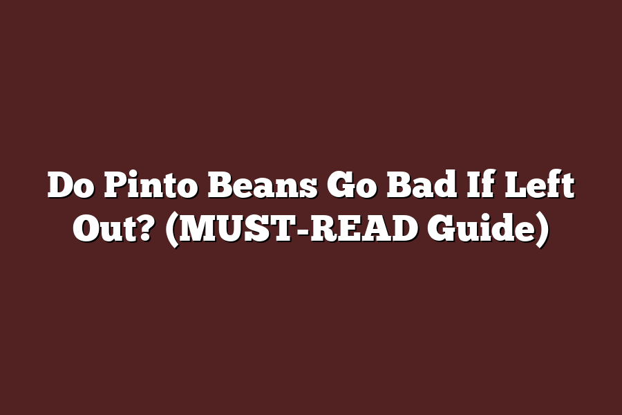 Do Pinto Beans Go Bad If Left Out? (MUST-READ Guide)