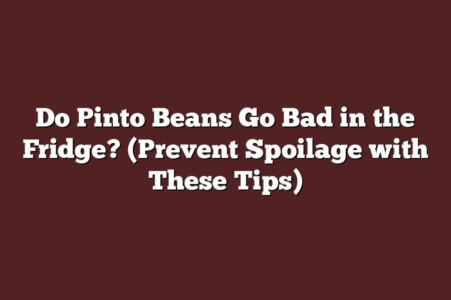 Do Pinto Beans Go Bad in the Fridge? (Prevent Spoilage with These Tips)