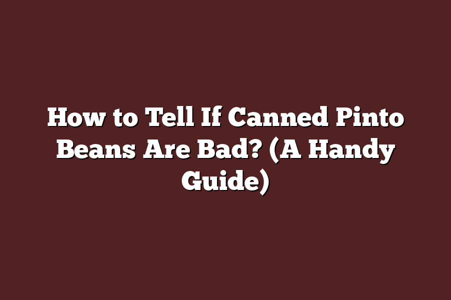 How to Tell If Canned Pinto Beans Are Bad? (A Handy Guide)