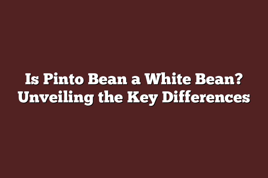 Is Pinto Bean a White Bean? Unveiling the Key Differences