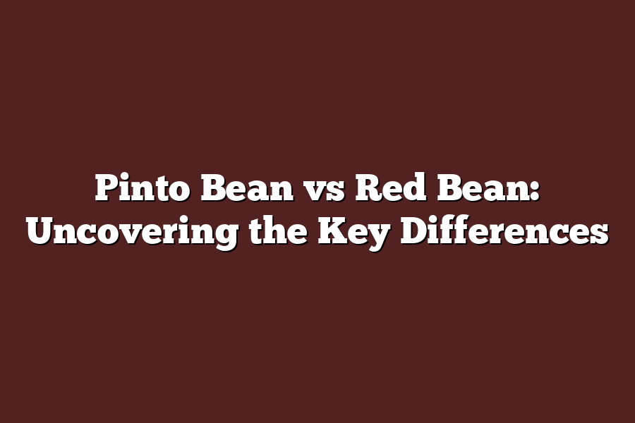 Pinto Bean vs Red Bean: Uncovering the Key Differences