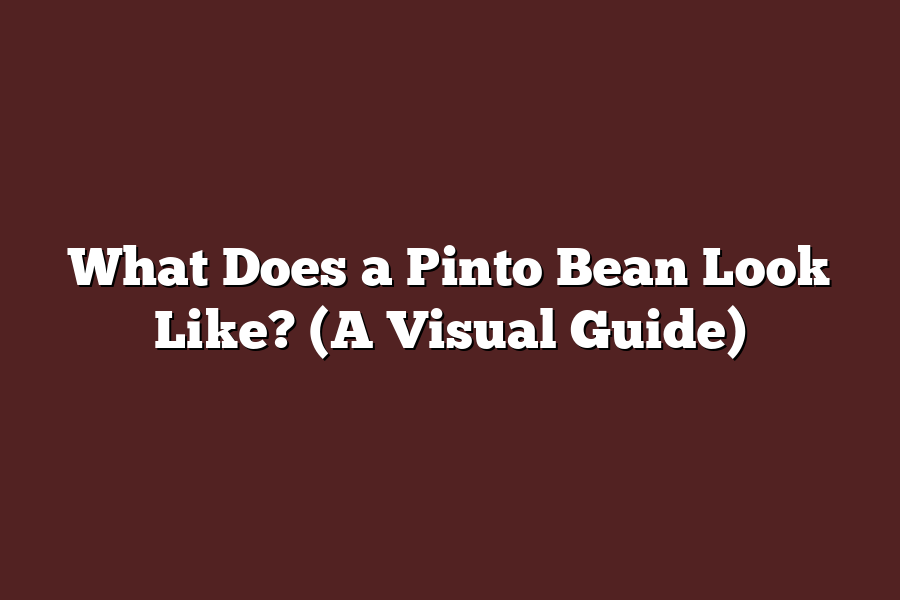 What Does a Pinto Bean Look Like? (A Visual Guide)