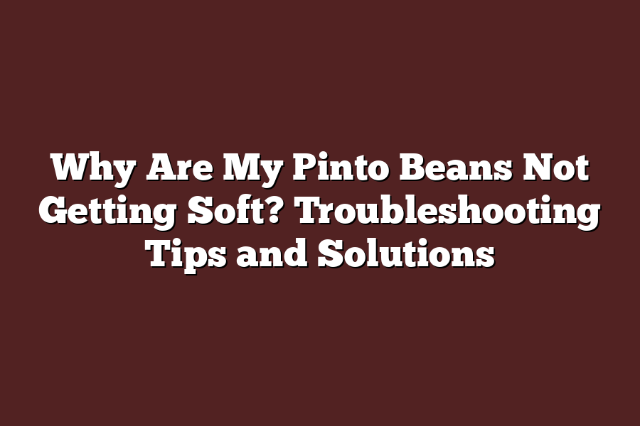 Why Are My Pinto Beans Not Getting Soft? Troubleshooting Tips and Solutions