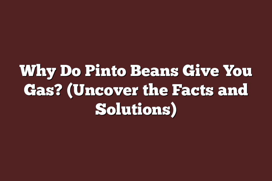 Why Do Pinto Beans Give You Gas? (Uncover the Facts and Solutions)