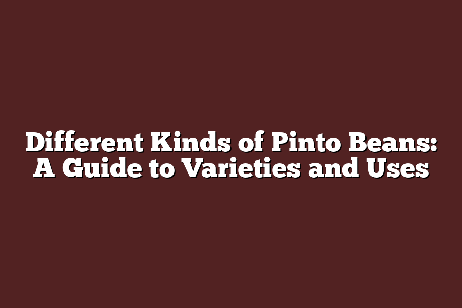 Different Kinds of Pinto Beans: A Guide to Varieties and Uses