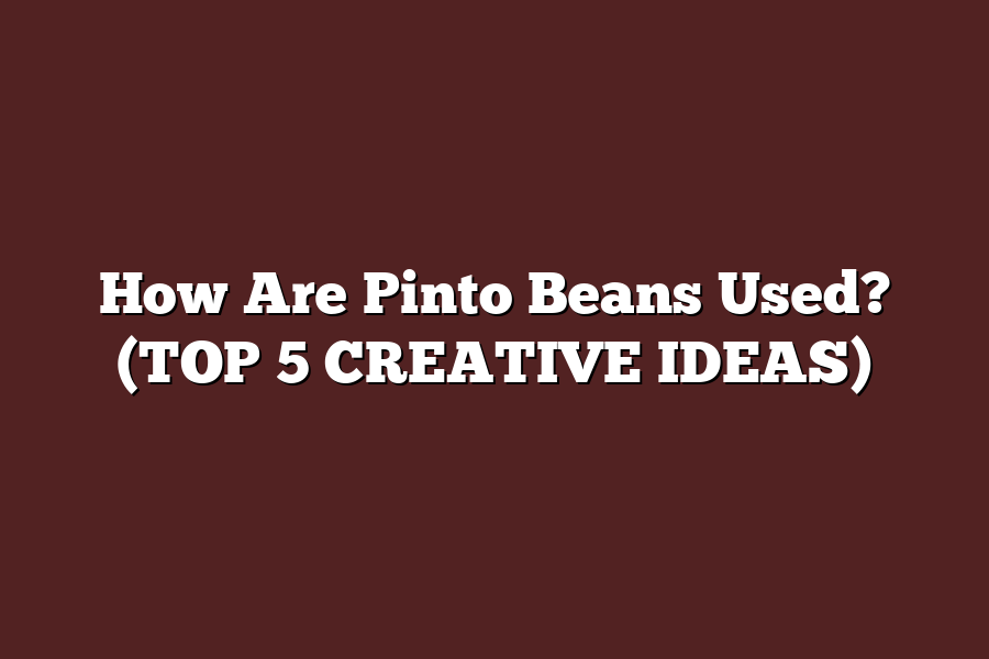 How Are Pinto Beans Used? (TOP 5 CREATIVE IDEAS)