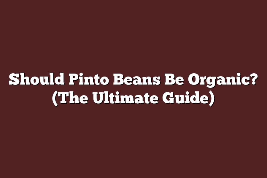 Should Pinto Beans Be Organic? (The Ultimate Guide)