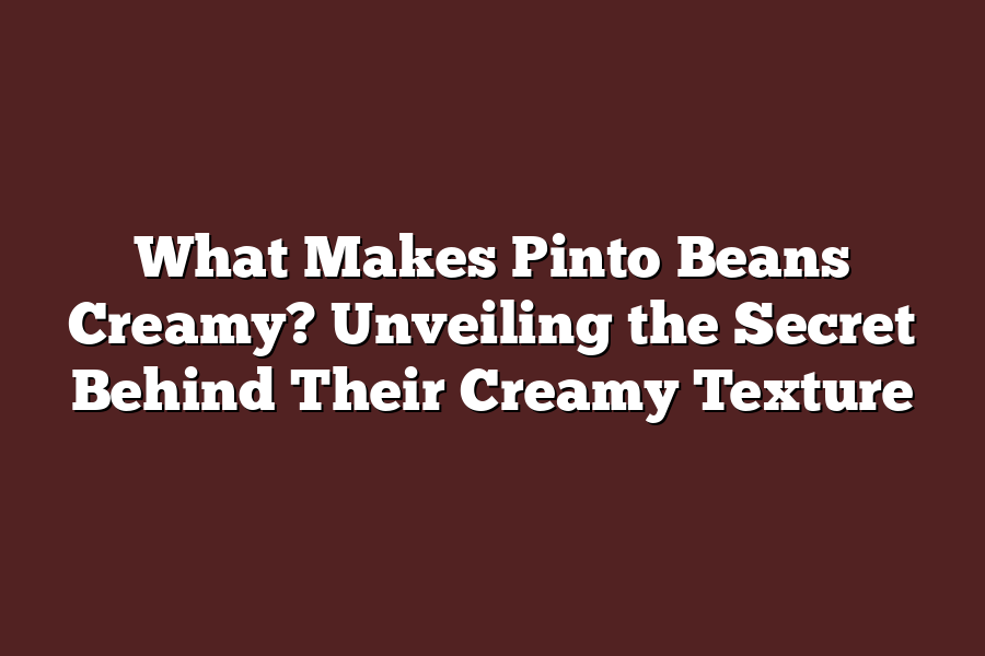 What Makes Pinto Beans Creamy? Unveiling the Secret Behind Their Creamy Texture