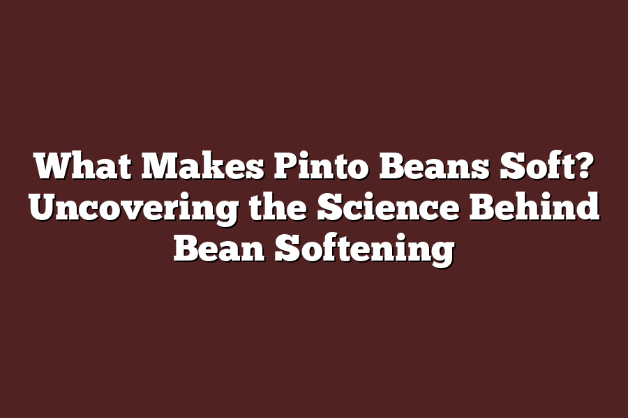 What Makes Pinto Beans Soft? Uncovering the Science Behind Bean Softening